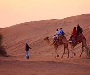Heritage Camel Desert Safari